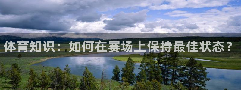 JJB竞技宝官方正版app娱乐是那个系列的台子：体育