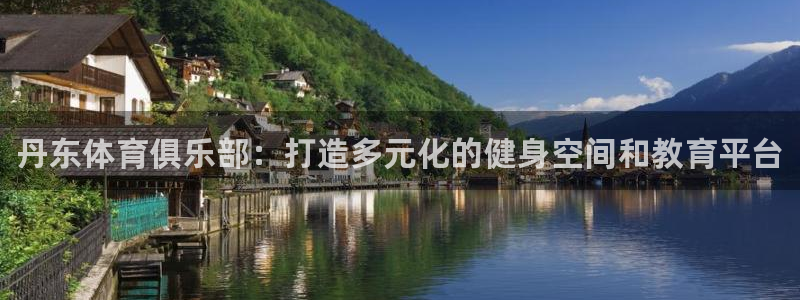 JJB竞技宝官方正版app集团logo：丹东体育俱乐