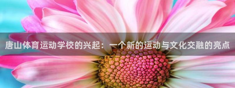 JJB竞技宝官方正版app娱乐是那个系列的台子：唐山体育运动