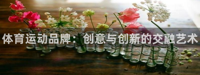 JJB竞技宝官方正版app娱乐：体育运动品牌：创意与