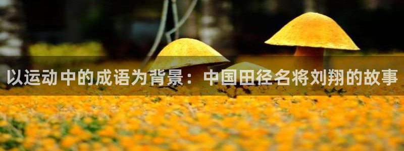 JJB竞技宝官网下载招商电话号码查询：以运动中的成语为背景：