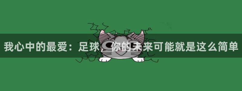 JJB竞技宝官方正版app娱乐首页官网下载：我心中的最爱：足
