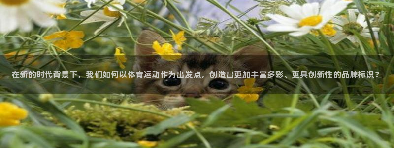 JJB竞技宝官方正版app神州：在新的时代背景下，我