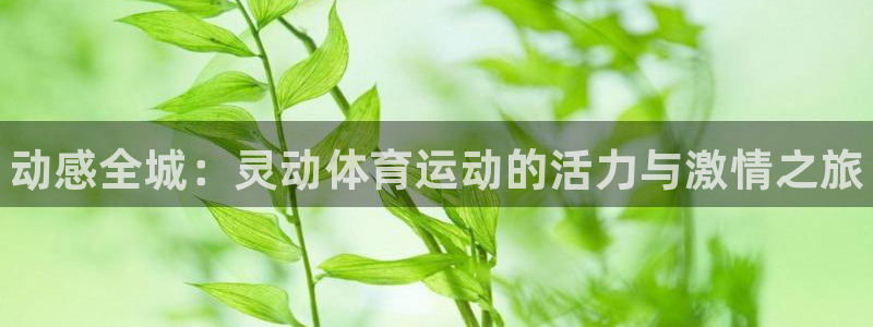 JJB竞技宝官网下载平台注册要钱吗是真的吗：动感全城：灵动体