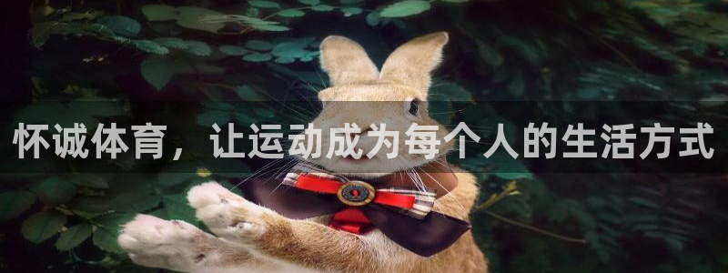 海南JJB竞技宝官网下载：怀诚体育，让运动成为每个人