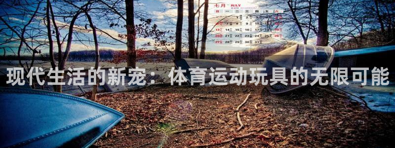 JJB竞技宝官网下载软件：现代生活的新宠：体育运动玩