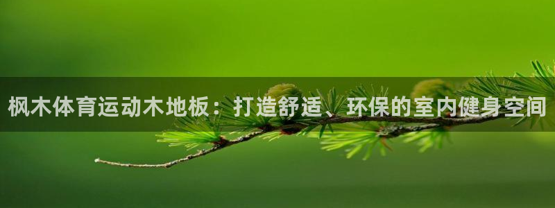 JJB竞技宝官网下载是干嘛的公司：枫木体育运动木地板