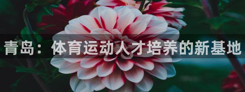 JJB竞技宝官网下载平台注册要钱吗安全吗：青岛：体育运动人才