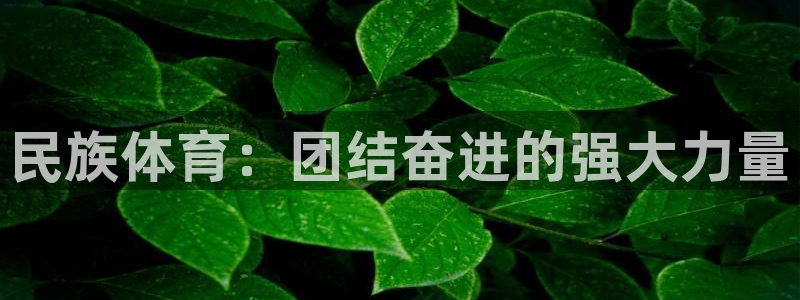 JJB竞技宝官网下载招商电话号码查询：民族体育：团结奋进的强