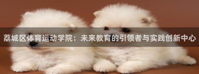 JJB竞技宝官网下载平台是正规平台吗：荔城区体育运动学院：未