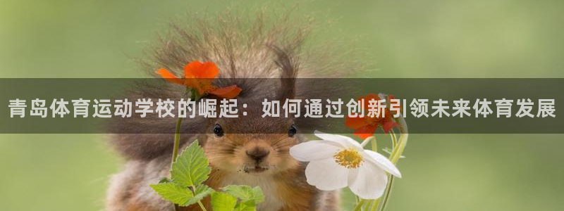 JJB竞技宝官网下载平台是正规平台吗知乎：青岛体育运动学校的