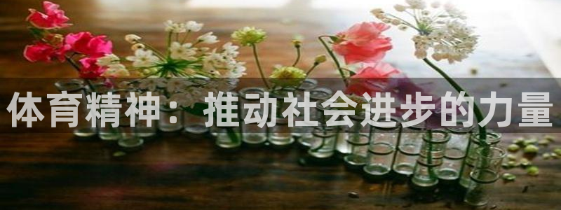JJB竞技宝官方正版app集团简介：体育精神：推动社会进步的