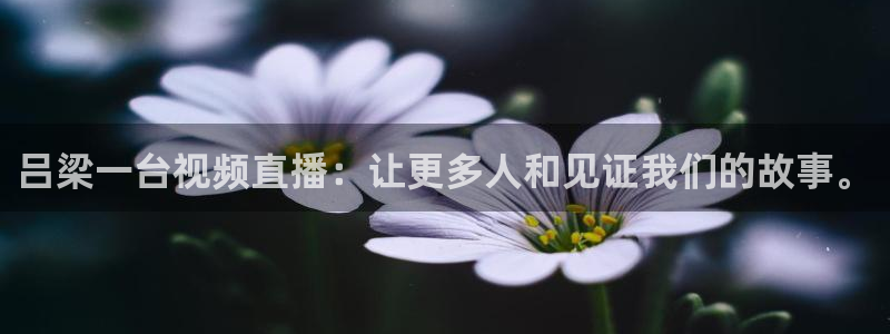 乐球直播吧：吕梁一台视频直播：让更多人和见证我们的故事。