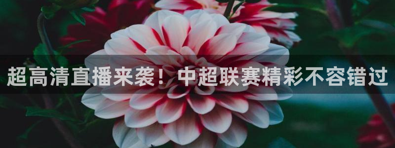 足球直播吧官网