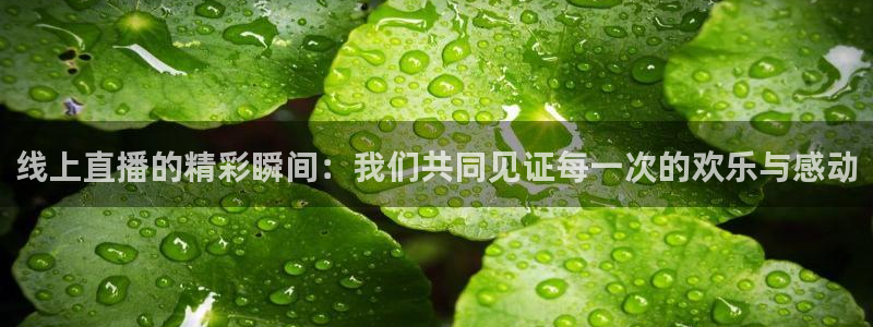 人人体育直播吧