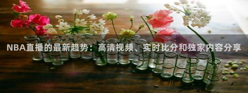 so米nba直播吧