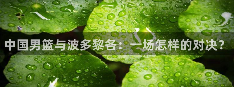 nba极速体育直播吧体育直播：中国男篮与波多黎各：一场怎样的对决？