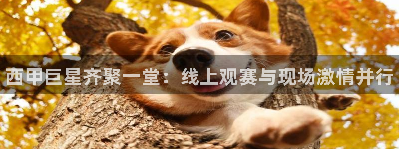 178体育直播吧：西甲巨星齐聚一堂：线上观赛与现场激情并行